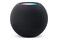 głośnik Bluetooth Apple HomePod mini czarny
