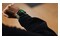 Smartwatch Amazfit BIP 6 szary