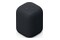 głośnik Bluetooth Sony SRSLS1 czarny
