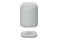 głośnik Bluetooth Sony SRSLS1 szary