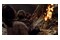 Resident Evil 4 Edycja Deluxe Xbox (Series S/X)