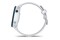 Smartwatch Garmin Forerunner 255 Music 1.30" szary