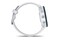 Smartwatch Garmin Forerunner 255 Music 1.30" szary