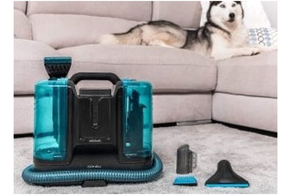 Odkurzacz Cecotec Conga Carpet Clean Liberty tradycyjny bezworkowy