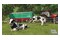 Farming Simulator Signature Edition 2 Nintendo Switch