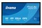 Monitor 65.0" IIYAMA TE6513A-B1AG czarny