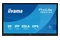 Monitor 65.0" IIYAMA TE6513A-B1AG czarny