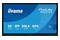 Monitor 54.6" IIYAMA TE5513A-B1AG czarny