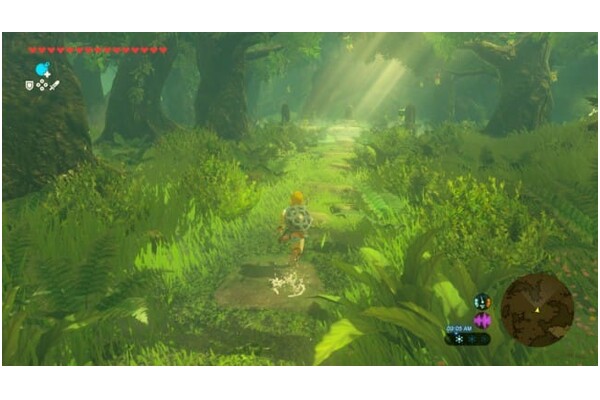 The Legend of Zelda Breath of the Wild (NS2) Nintendo Switch