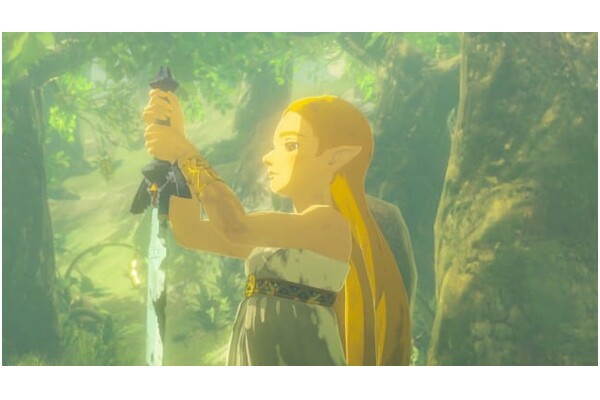 The Legend of Zelda Breath of the Wild (NS2) Nintendo Switch
