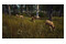 Way of the Hunter PC