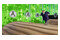 The Addams Family Mansion Mayhem Xbox One