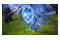 Star Ocean The Divine Force Xbox (One/Series X)