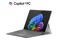 Laptop Microsoft Surface Pro 13.0" Qualcomm Snapdragon Snapdragon X Plus Qualcomm Adreno Onboard 16GB 256GB SSD Windows 11 Home platynowy