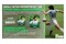 EA SPORTS FC 25 Xbox (One/Series X)