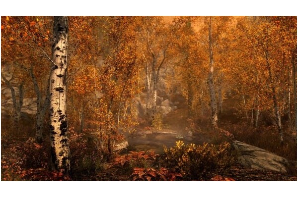 The Elder Scrolls V Skyrim Edycja Specjalna Xbox (One/Series S/X)