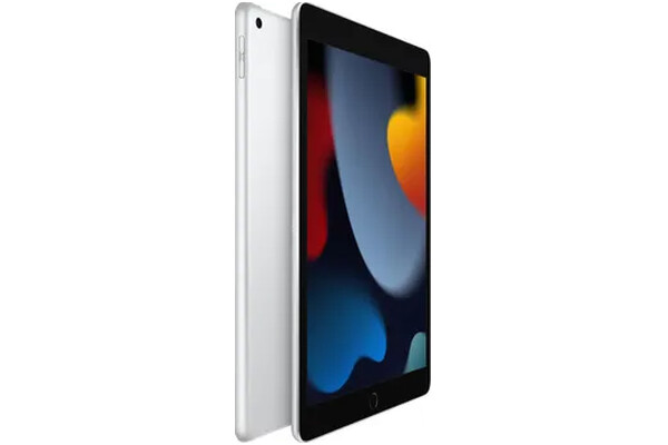 Tablet Apple iPad 10.20" Apple A13 /64GB, WiFi, srebrny