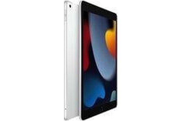 Tablet Apple iPad 10.20" Apple A13 /256GB, srebrny