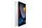 Tablet Apple iPad 10.20" Apple A13 /256GB, srebrny