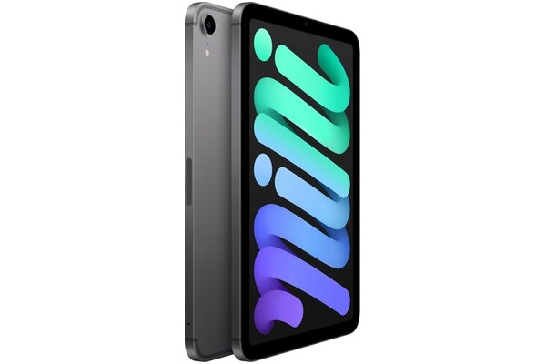 Tablet Apple iPad mini 8.30" Apple A15 /256GB, WiFi, gwiezdna szarość