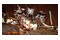 Monster Hunter Rise Edycja Deluxe Xbox (One/Series S/X)