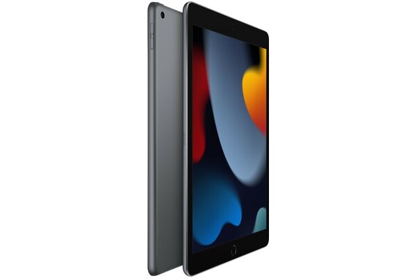 Tablet Apple iPad 10.20" Apple A13 /256GB, WiFi, gwiezdna szarość