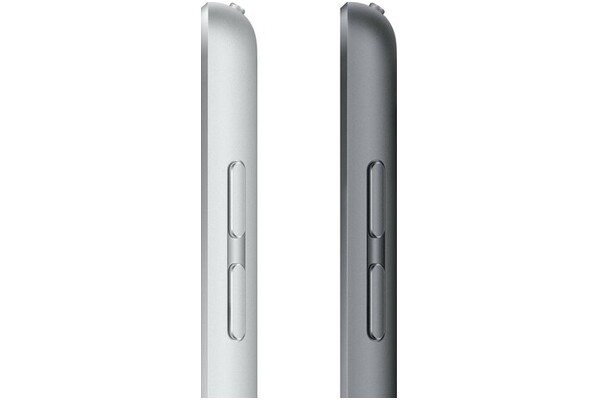 Tablet Apple iPad 10.20" Apple A13 /256GB, WiFi, gwiezdna szarość