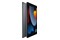 Tablet Apple iPad 10.20" Apple A13 /256GB, WiFi, gwiezdna szarość