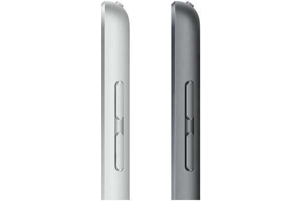 Tablet Apple iPad 10.20" Apple A13 /256GB, LTE, gwiezdna szarość