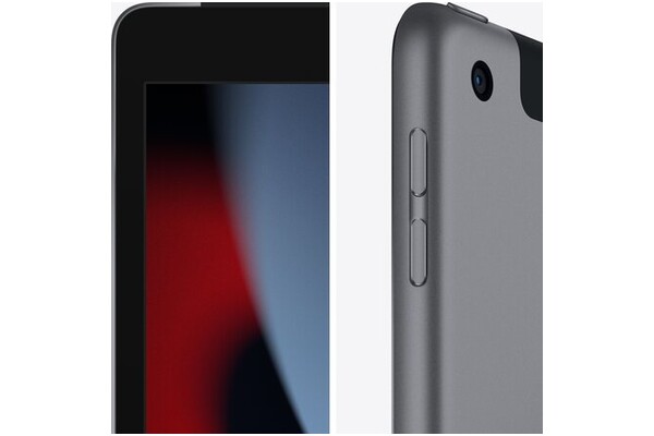 Tablet Apple iPad 10.20" Apple A13 /256GB, LTE, gwiezdna szarość