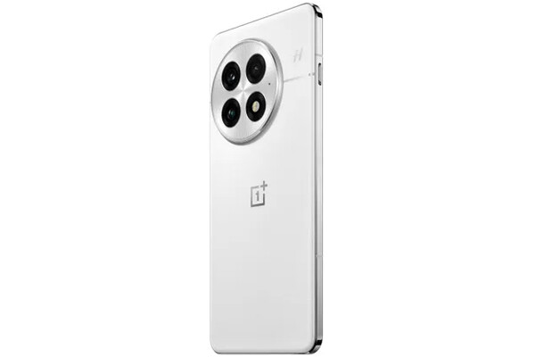 Smartfon OnePlus 13 5G Arctic Dawn 6.82" 16.0GB/512.0GB