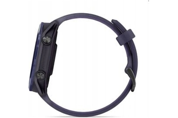 Smartwatch Garmin Forerunner 570