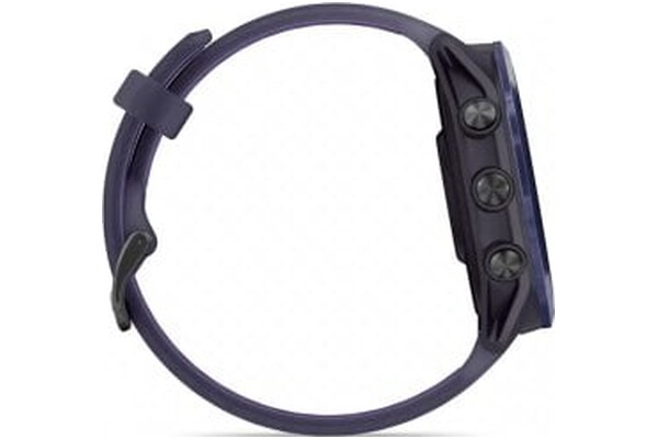Smartwatch Garmin Forerunner 570