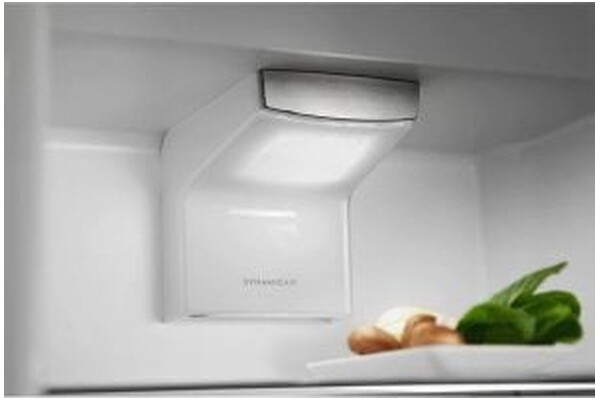 Lodówka Electrolux LNS6TE19S