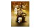 NBA22 Xbox (Series S/X)