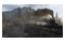 Red Dead Redemption II Xbox One