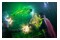 Marvels Midnight Suns Digital+ Edition Xbox (Series S/X)
