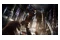 Dying Light 2 Edycja Kolekcjonerska PlayStation 5