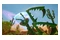 Revenge Of The Savage Planet Edycja Day One PlayStation 5