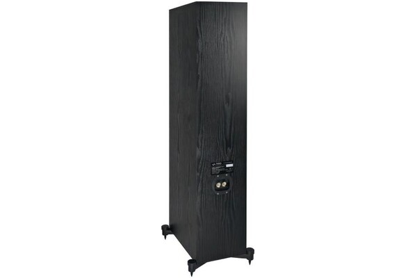 Kolumna TAGA Harmony F-100 V.4 Platinum 190W, 1szt., czarny
