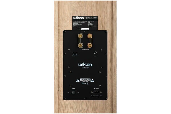 Kolumna Wilson Six Power 60W, 1szt., Jasny dąb