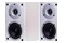 Kolumny Wilson Raptor Mini 125W, 2szt., biały