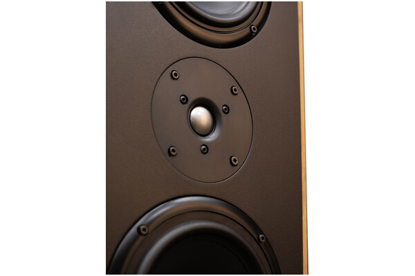 Kolumna Tonsil Maestro Classic 100W, 1szt., Dąb