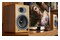 Kolumny Audioengine A5+ 150W, 2szt., Orzech