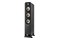 Kolumna Polk Audio Signature Elite ES60 50W, 1szt., czarny