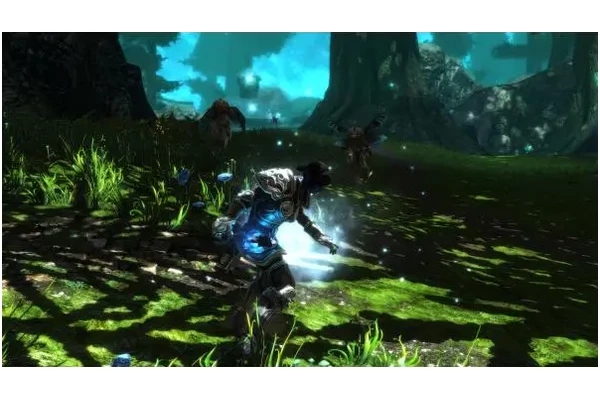 Kingdoms of Amalur Re Reckoning PC