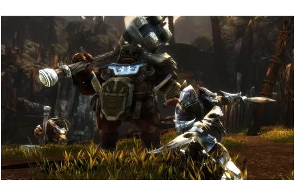 Kingdoms of Amalur Re Reckoning PC