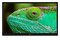 Telewizor Lenco LED2463 24" HD Ready