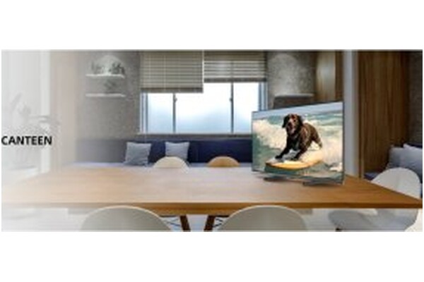 Telewizor CHIQ L32M9PD 32" HD Ready