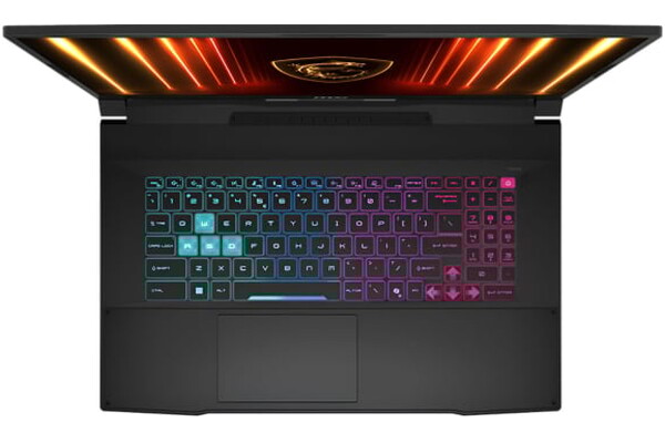 Laptop MSI Katana 17 17.3" Intel Core i7 14650HX NVIDIA GeForce RTX 5070 16GB 1TB SSD M.2 czarny
